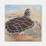 Tête vers le haut d'aimant de tortue