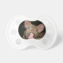 Tétine porcine