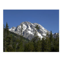 Tetons grand 1 carte postale