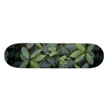 Texture de feuillage plateaux de skateboards customisés