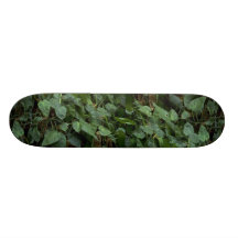 Texture de feuillage plateau de skate