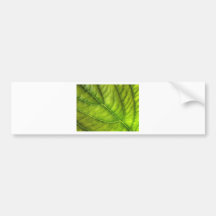 texture de feuille adhésif pour voiture