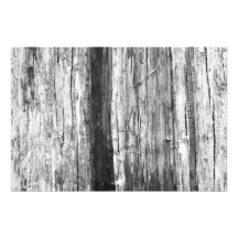 Texture en bois impressions photo