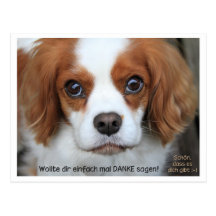 Thank you card - carte de remerciement Cavalier Ch Cartes Postales