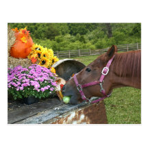 Thanksgiving de cheval carte postale