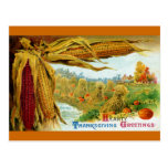 Thanksgiving de cru de maïs et de citrouilles cartes postales