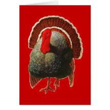 Thanksgiving vintage Turquie Carte