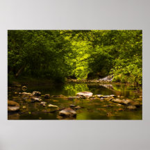 The Creek Poster