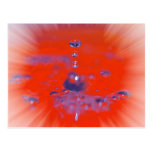 The water point of view cartes postales