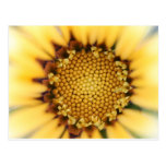 The yellow flower cartes postales