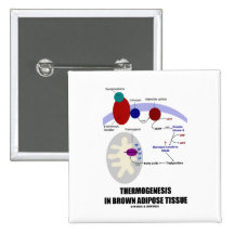 Thermogenesis en tissu adipeux de Brown Badge