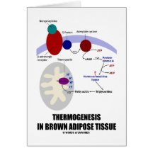 Thermogenesis en tissu adipeux de Brown Carte De Vœux
