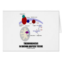 Thermogenesis en tissu adipeux de Brown Cartes