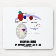 Thermogenesis en tissu adipeux de Brown Tapis De Souris