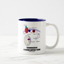 Thermogenesis en tissu adipeux de Brown Tasse