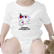Thermogenesis en tissu adipeux de Brown Bodies Pour Bébé