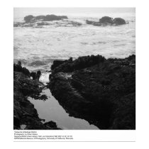 Tidepools à la station de Bodega par Ansel Adams posters