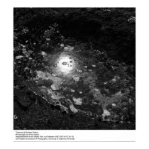 Tidepools à la station de Bodega par Ansel Adams posters