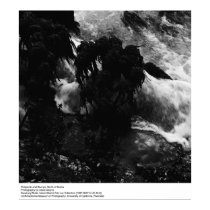 Tidepools et tronçons, par Ansel Adams posters