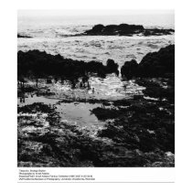 Tidepools, station de Bodega par Ansel Adams posters