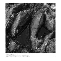 Tidepools, station de Bodega par Ansel Adams posters