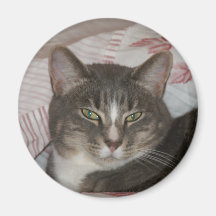 Tigger Magnets Pour Réfrigérateur