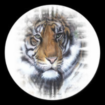 Tigre autocollants
