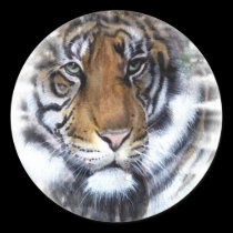 Tigre autocollants