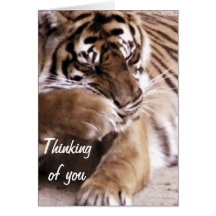 Tigre avec un heart_ cartes de vœux