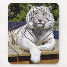 Tigre blanc 9 Mousepad Tapis De Souris