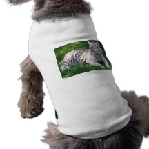 Tigre blanc avec des yeux bleus léchant le nez tee-shirts pour toutous