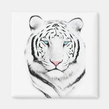 Tigre blanc sibérien magnets