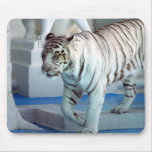 Tigre blanc tapis de souris