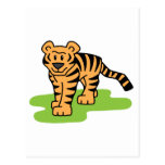 Tigre Carte Postale
