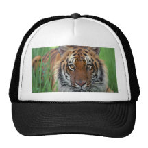 Tigre Casquette De Camionneur