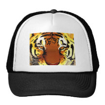 Tigre Casquettes