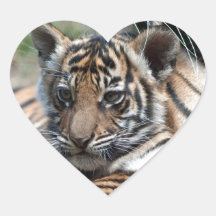 Tigre CUB Autocollants