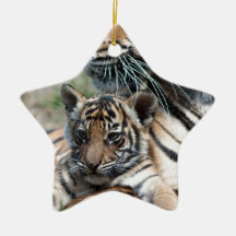 Tigre CUB Décorations De Noël