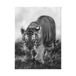 Tigre de bébé égrappant en noir et blanc toiles tendues sur châssis