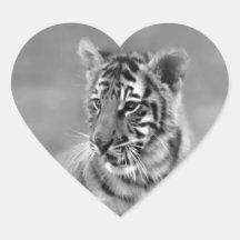 Tigre de bébé en noir et blanc adhésif