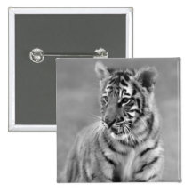 Tigre de bébé en noir et blanc badge