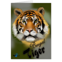 Tigre de Bengale Carte