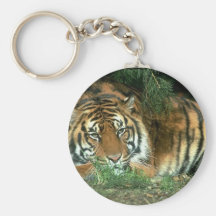 Tigre de Bengale Keychain Porte-clef