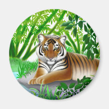 Tigre de Sumatran dans l'aimant en bambou de jungl