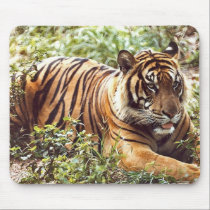 tigre de sumatran tapis de souris