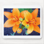 Tigre Lillies 3.jpg Tapis De Souris