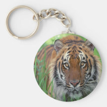 Tigre Porte-clefs