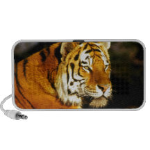 Tigre sibérien le soir haut-parleur mp3