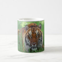 Tigre Tasse