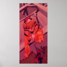 Tigre vorace posters